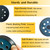 5 Inch 8 Hole Replacement Sander Pad for DeWalt Sander - 5" Hook & Loop Sanding Backing Pad for DW420/K, DW421/K, DW423/K, DW426/K, D26453/K, D26451 Orbital Sander