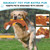 YILAKO Flirt Pole for Dogs - Heavy Duty Interactive Dog Rope Toy, Agility Training Fishing Pole for Large and Small Breeds, Durable Exercise Stick with Replaceable Tails