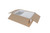 Continental Plastics Fish Tubs/Food Storage Bins 25lb 11.5" x 15.5" x 5", Pack of 10 Deep Bases with Lids