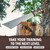 Condor Tool & Knife Argyll Scottish Heavy Duty Machete - 1075 High Carbon Steel - Walnut Handle - Hand Crafted Welted Leather Sheath - Cutlass Machete - 4.5mmThick - 12.21in Blade - 27.87oz
