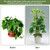 Grevosea 14 Inch Trellis for Climbing Plants Indoor, Plant Trellis Indoor Small Trellis for Potted Plants Honeycomb Metal Pothos Plant Climber Support for Flower Indoor Plants Supports