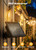 Brightown 108FT Solar String Lights Outdoor Waterproof with Remote, 50+2 LED Shatterproof Bulbs, Dimmable & Timable, 3 Light Modes - Commercial Grade Patio Lights for Garden Backyard Party Decor