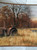 Pheasants Tractor Farm Scene Wallpaper Border - Brown