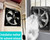 12 Inch Window Exhaust Wall Mounted Ventilation Basement Extractor Industrial Fan 720 CFM High-Speed1460 RPM Industrial Fan for Home Garage Office Commercial Use (12 Inch+Speed Control)