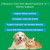 Veterinarian Formulated Kidney Support for Cats & Dogs | 6-in-1 Liquid with Herbal Blend + Vitamin B Complex | Bacon Flavor for Kidney & Urinary Health, Energy & Appetite | 2oz (59ml)