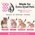 3 Pack Sugar Glider Harness and Leash Set Small Animal Training Walking Vest for Squirrel Hamster Rat Pink