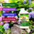 Nature’s MACE Deer and Rabbit Mace, Deer Repellent Spray, Plants, Lawns, Flowers, Gardens, Deer Repellent Spray, Keep Deer Out, Deterrent, All-Season Protection, 1 Gallon Concentrate, Treats 2 Acres