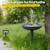 Biling 5.5W Solar Fountain Pump for Bird Bath, DIY Solar Water Pump with Double-Layer Nozzles & Dry-Run Protection 5 FT Tubing for Birdbath, Garden Ponds, Water Features