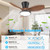 ocioc Quiet Ceiling Fan with LED Light DC motor 32 inch Large Air Volume Remote Control Walnut for Kitchen Bedroom Dining room Patio