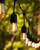 BRIMAX 2W 100FT Outdoor String Lights Commercial Grade with 32 Shatterproof S14 Dimmable LED Bulbs Patio String Lights Heavy Duty Waterproof for Bistro Cafe Market 2700K