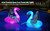 Inflatable Swan Pool Floats with Colorful Lights, FlyfreeU Solar LED Color Changing Swan Swim Float Rings, 42 Inch Large Pool Beach Floaties Lake Beach Floaty Summer Pool Raft Lounge for Adults