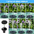 Yzert Solar Fountain with 2000 mAh Battery Backup Works in Cloudy, Glass Solar Powered Bird Bath Fountains with 7 Nozzles, 3.5 W Solar Fountain Pump for Birdbath,Garden, Outdoor, Pond