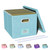 Oterri File Organizer Box with Lid, Portable Hanging File Box for Letter/Legal File Folder Storage, Office/Decor/Home, 1 Pack, Light-blue