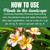 Nelson Plumeria Plant and All Flowering Tropicals Food Ferns Orchids Lilys In Ground Container Patio Grown Granular Fertilizer NutriStar 5-30-5 (2 lb)
