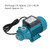 Solar For Irrigation, DC 12V 180W Solar Well Pump Kit Water Transfer Pump with Outlet Pipe Joint for Garden Lawn Irrigation System