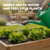 Herb Plant Food – Liquid Fertilizer for All Edible Herbs, Supports Faster Growth, Lush Leaves & Better Flavor, 8 oz