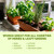 Herb Plant Food – Liquid Fertilizer for All Edible Herbs, Supports Faster Growth, Lush Leaves & Better Flavor, 8 oz