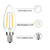 Beonllay 12 Volt LED Candelabra Bulbs E12 2W LED Bulb 25 Watt Equivalent