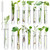 Worldity 15Pcs Clear Test Tubes for Plant, 20ml Plant Propagation Tube with Brush, Plastic Test Tubes for Hydroponic Plants, Flowers, Home Office Wall Decor (12cm), Transparent