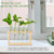 Worldity 15Pcs Clear Test Tubes for Plant, 20ml Plant Propagation Tube with Brush, Plastic Test Tubes for Hydroponic Plants, Flowers, Home Office Wall Decor (12cm), Transparent