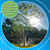 Tree Watering System - 360° Outward Spray Tree Watering Ring - Sprinkler Ring for Trees & Shrubs - Reaches The Nutrition Zone for Tree Root Watering (7 Inch)