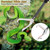 Gzlozak Snake Tongs Heavy Duty, 68" Snake Catcher Grabber for Rattlesnake Professional Safe Handling Snake Long Reach Grabber Wide Jaw Handling Tool with Lock Non Slip Foam Handle Sturdy Metal Tubes