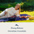Tommy Bahama Outdoor Waterproof Picnic Blanket - Lightweight Portable Design with Carry Strap - Perfect for The Beach, Park, Camping, Concerts and More, 50" x 70"