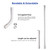 AW Wash Shampoo Bowl Basin Drain Hose Kit Extendable Drainpipe Accessory for Salon Barber Shop Kitchen