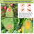 100pcs Fruit Protection Bags 8x12 inch, Green Netting Cover Bags Drawstring Mesh Fruit Protectors Pest Barrier for Grapes Mango Trees Veggies Garden
