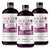 Organic Beet Juice Beet Kvass 48 Ounces (3 16 Ounce Bottles) from Garden Goddess Ferments, Nitric Oxide Superfood for Improved Circulation, Blood Pressure, Iron Supplement, and Hangovers - Sugarfree