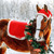 Abbylike 6 Pcs Christmas Holiday Santa Leg Wraps with Faux Fur Trim Holiday Santa Horse Hat All Purpose Santa Saddle Pad for Christmas Horse Costume Accessories(Red,Elegant Style) Abbylike 6 Pcs Christmas Holiday Santa Leg Wraps with Faux Fur Trim Holiday Santa Horse Hat All Purpose Santa Saddle Pad for Christmas Horse Costume Accessories(Red,Elegant Style)
