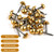 Worldity 30 Pcs Retro Solid Pure Brass Tacks, 1/2",12 mm Upholstery Nails for Furniture, Decorative Brass Nails for Wood, Carpet Tacks, Cap Nails,Thumb Tacks, Brass Fasteners