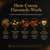 High Flavanol Cocoa Powder 245g, 1200mg Cocoa Flavanols & Flavonoids Per Serving with 600mg Epicatechin, 10X Concentrated Cocoa Extract, Premium Cocoa Powder for Daily Use
