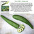 Armenian Dark Green Cucumber Seeds (Cucumis sativus) – 100+ Non-GMO Heirloom Seeds by Isla’s Garden Seeds, Crisp & Slender Cucumbers, Excellent for Fresh Eating & Slicing, Vigorous Vines, Gift Idea