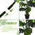 Vocray Plant Support Stakes for Indoor Plants,Trellis for House Potted Plants Flower,Monstera Support Sticks with Orchid Clips,Twist Ties(2 Pack Brown)