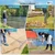 Floating Lake Rake, Leaf Collector for Gardening, 36" Aluminum Landscape Rake with Adjustable Handle, 33FT Rope & Float, Weed Algae Removal, Multifunctional Detachable Aquatic Weed Rakes