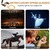 3X25 Opera Glasses for Women with Retractable Handle & Exquisite Gold Chain, Mini Compact Binoculars for Theater Black
