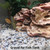 FANTIAN 10 lbs Colorful Pebbles Pea Gravel for Landscaping, 3/8 Inch Decorative River Rocks for Plant Indoor Succulent Cactus Drainage Vase Fish Tank and Garden