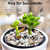 FANTIAN 10 lbs Colorful Pebbles Pea Gravel for Landscaping, 3/8 Inch Decorative River Rocks for Plant Indoor Succulent Cactus Drainage Vase Fish Tank and Garden