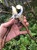 Horsvill Garden Shears, Japanese Floral branch cutters, Snips for Gardening, Flower scissors Florist clippers, Hand Held Pruners for Gardening Heavy Duty, Pruning shears for garden (Wood grain)