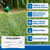 Sedgehammer Plus Turf Herbicide - 12 Pack of 13.5 Gram Purple & Yellow Nutsedge Killer for Lawns with Pre-Mixed Surfactant - Lawn & Pet Safe Weed Killer Mix for Residential Use
