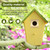 Hotop 12 Pcs 1 1/8 Inch Opening Bluebird Metal House Hole Guard Portal Bird House Protect Bird Room Guard Copper Portal with Opening for Eastern Bluebird Rooms Sparrow Houses(Gold)