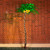 TYBEEU 7ft Lighted Palm Tree with 208 LED Lights & Glowing Coconuts