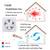 SAILFLO 8 Inch Window Shutter Exhaust Fan, 9.5 x 9.5 Inch Cutout, 300CFM 30W Wall-Mounted Ventilation Fan Air Intake Extractor for Bathroom Home Bedroom Attic, φ8 Inch Impeller