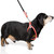 BUDDY BELT Harness Pebble Grain Black - Premium Edition (4)