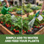 Sulfate of Potash – High-Potassium Supplement for Better Fruit Quality & Stronger Plants, 8 oz