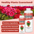 Geranium Fertilizer – Liquid Plant Food for Vibrant Blooms, Stronger Roots & Healthy Growth, 8 oz