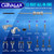 CARVALAX 12-Way Slide Hammer Puller Set