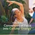 Nature's Bounty Vitamin B12 1000 mcg Supplements, Supports Energy Metabolism, 200 Ct
