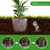 PEFECOP 5 Gallon Root Guard Basket, 6 PCS Mesh Stainless Steel Wire, Reusable for Plants, Underground Speed Basket Proof Gophers/Moles/Voles Damage, Silver